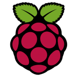 raspberry